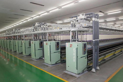 杜小剛調(diào)研企業(yè)運(yùn)行與新建高校發(fā)展，強(qiáng)調(diào)技術(shù)開發(fā)與人才培養(yǎng)雙輪驅(qū)動(dòng)