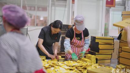 以司法之力，護(hù)茶香悠悠——宣恩縣法院加強知識產(chǎn)權(quán)法治保障有力支持全面創(chuàng)新